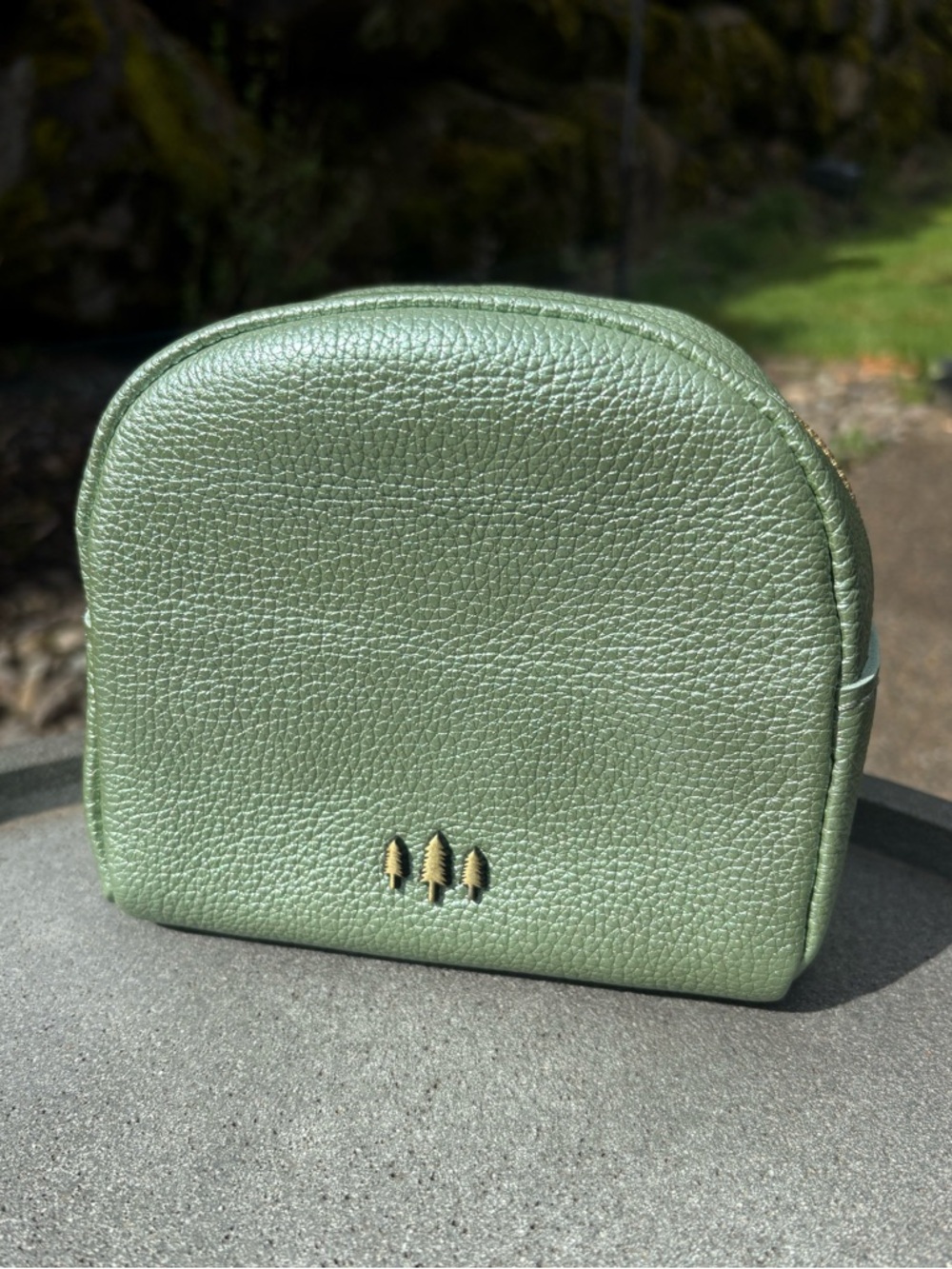 PLG WONDER Pouch Metallic Green Pebbled Leather Beetle Zip Makeup Bag Travel